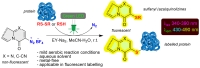 <p>Application of (aza)quinolizinyl-3-diazonium tetrafluoroborates in photocatalytic sulfanylation and in fluorescent labeling of proteins.</p>
